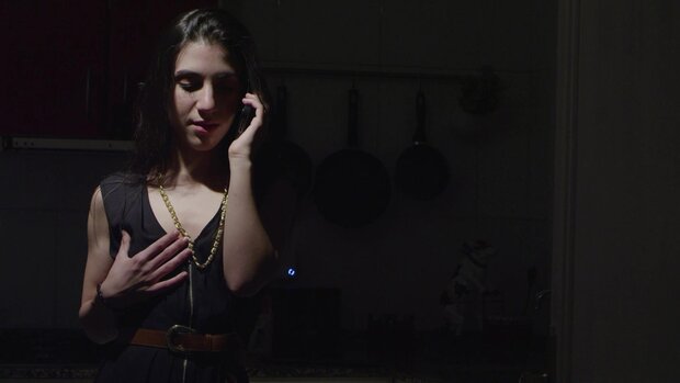 Sex Art - The Writer Vol. 1 - DVD - Porna