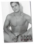Pin-up Kalender Real Cocks 2024 Pin-up Kalender Real Cocks 2024